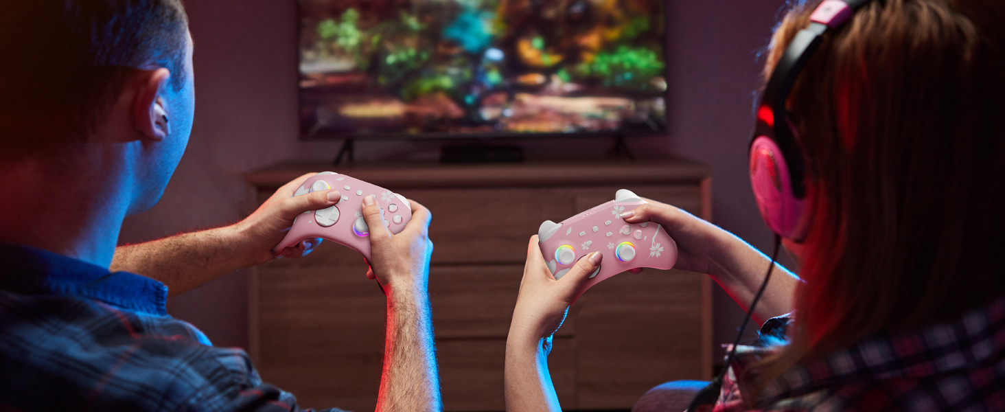 nintendo switch controller
