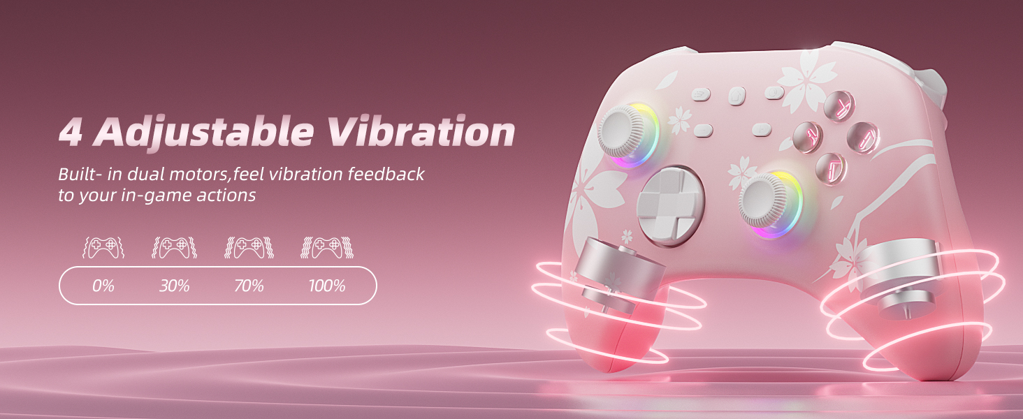 pro controller switch