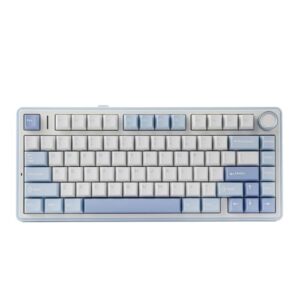 EPOMAKER x AULA F75 Gasket Mechanical Keyboard