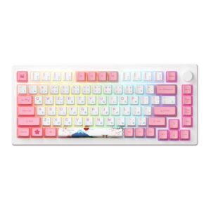Akko MOD 007B Tokyo Mechanical Gaming Keyboard