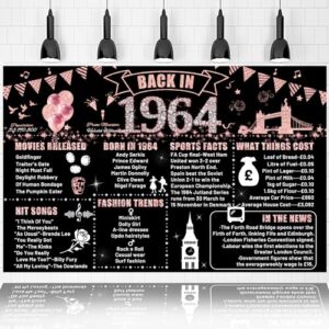 60th Birthday Pink Party Decoration