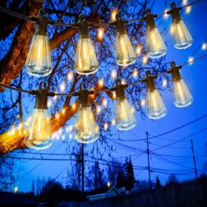 Zuske Garden String Lights Outdoor