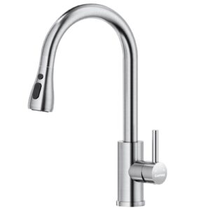 DAYONE Kitchen Mixer Tap with Pull Out Spray