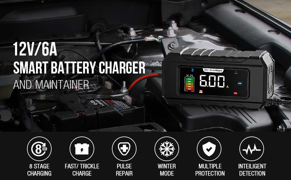 6 Amp Car Battery Charger
