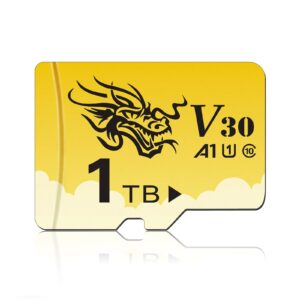 Memory Card 1TB