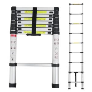 NAIMP 2.6M Telescopic Ladder
