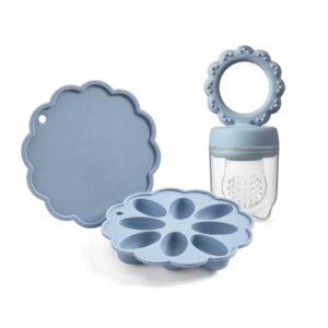 Baby Fruit Food Feeder & Mini Popsicle Ice Tray Set