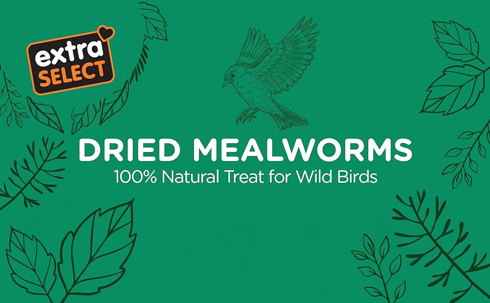 Linework bird representing the dried mealworms perfect for wild garden bird feeding supply. 