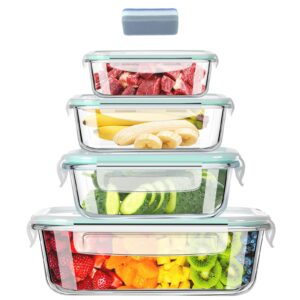 Hcrvvi Glass Containers With Lids Set