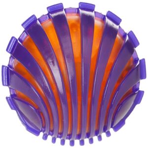 Rosewood Jolly Doggy Giggle Dog Toy Ball