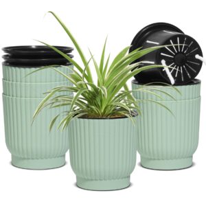 T4U 4.5 Inch Self Watering Pots 6 Pack