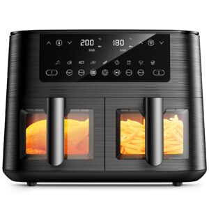 Dual Air Fryer with Visual Window