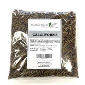 Premium Dried Calciworms 5L Bag Wild Bird Food (Approx weight 1kg - 5 litre) LPD (Higher Cacium alternative to Mealworms