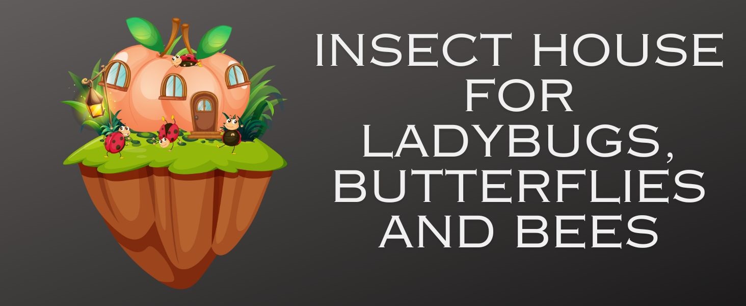 resin insect house hotel ladybugs ladybug ladybirds ladybird butterflies butterfly lacewing