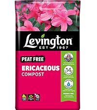 Levington Peat Free Ericaceous Compost
