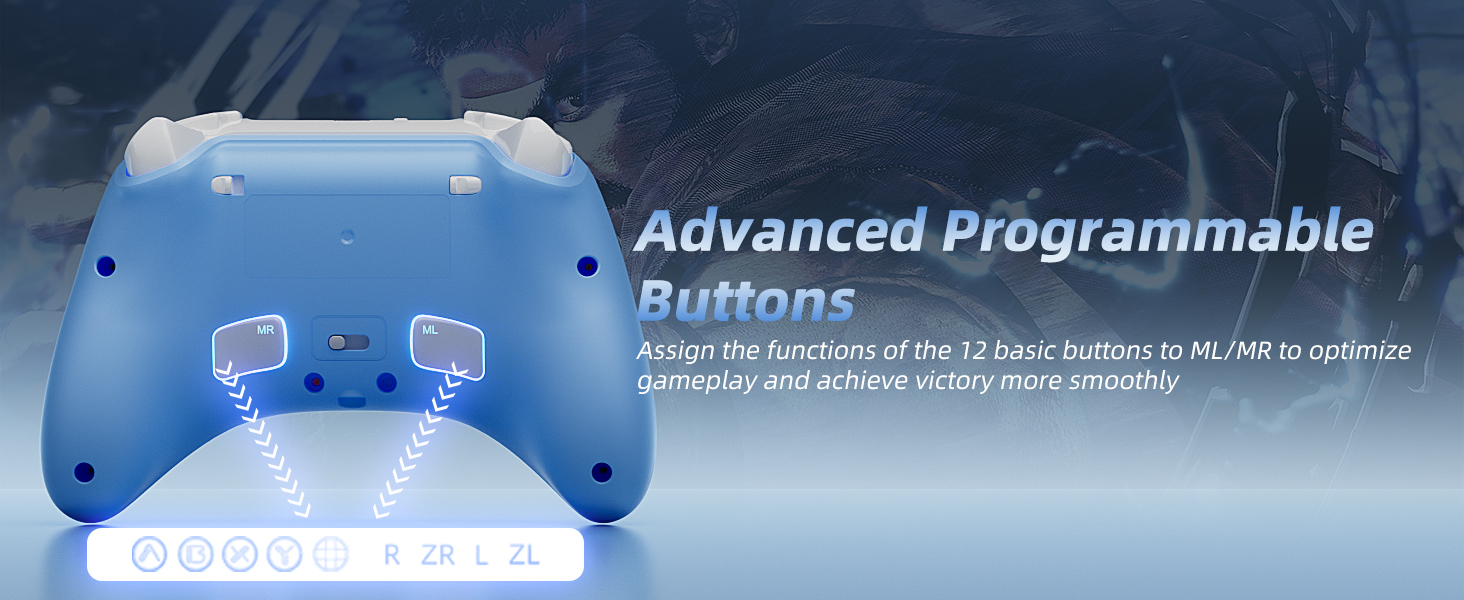 nes switch pro controller