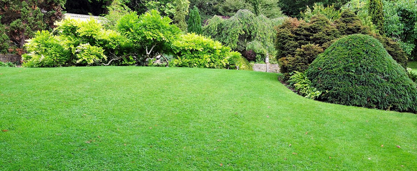 Season-long control of weeds in your lawn