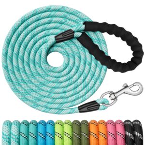 X XBEN Training Leads for Dogs