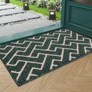 Biscpro Indoor Door Mats