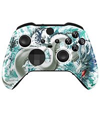 Replacement Faceplate