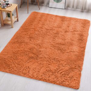 Aspire Homeware Rugs Living Room - Rust Area Rugs 160x230cm for Bedroom Anti Slip - Modern Super Soft Thick Pile Fluffy Shaggy Rug Non Shedding