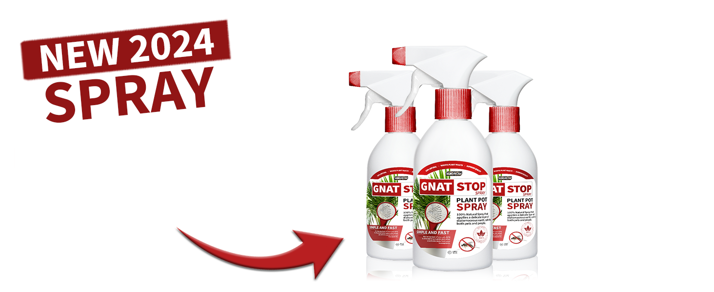 gnat; gnat stop; fruit flies; fungus gnats; pest control;