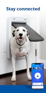 PetSafe, dog and cat products, pet fountain, cat flap, dog door, pet toys, cat fountain, kurgo