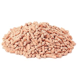 Chaffinch purchased on a twig, perfect food for finches and other songbirds 