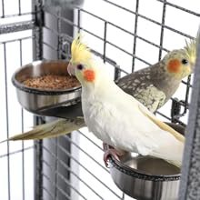 parrot cage