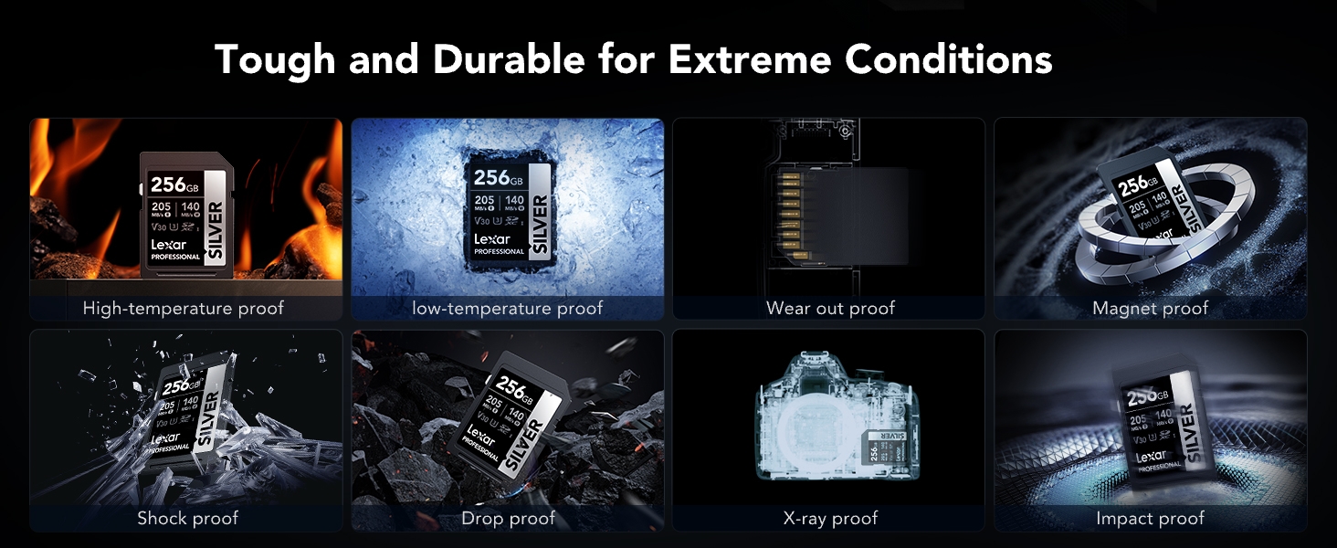 Lexar SD Card Silver 256GB