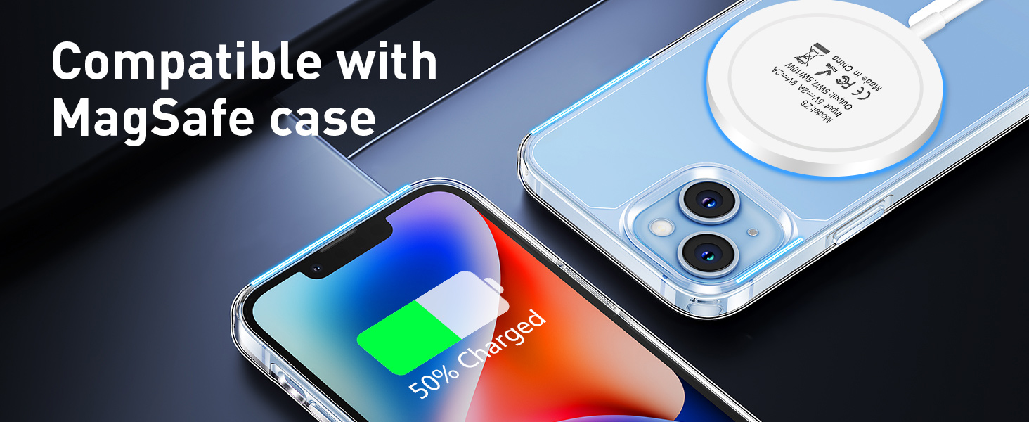 LED Smart Charger