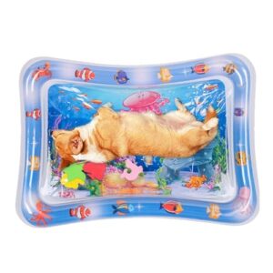 Sensory Water Mat