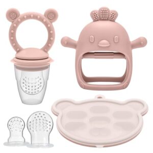 CLDY Baby Fruit Feeder Pacifier