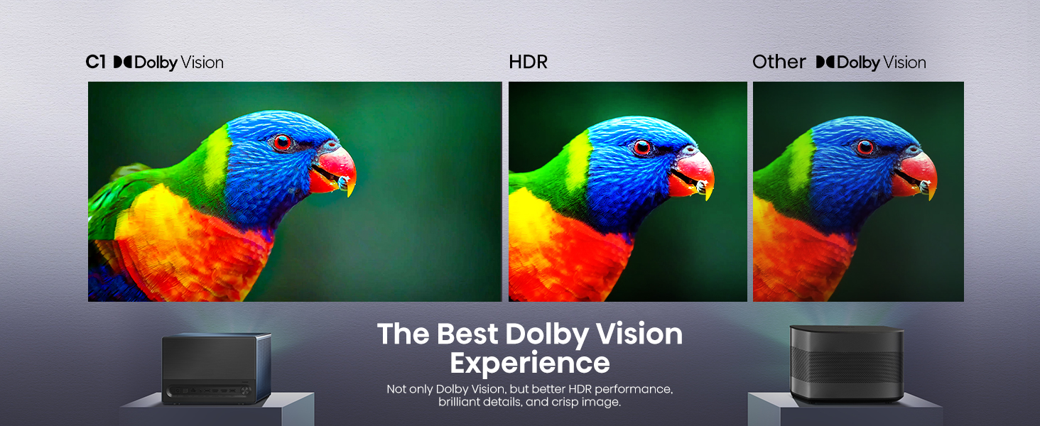 The Best Dolby Vision Experience