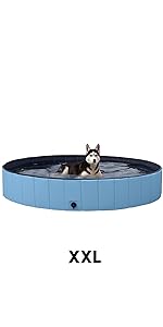 dog pool