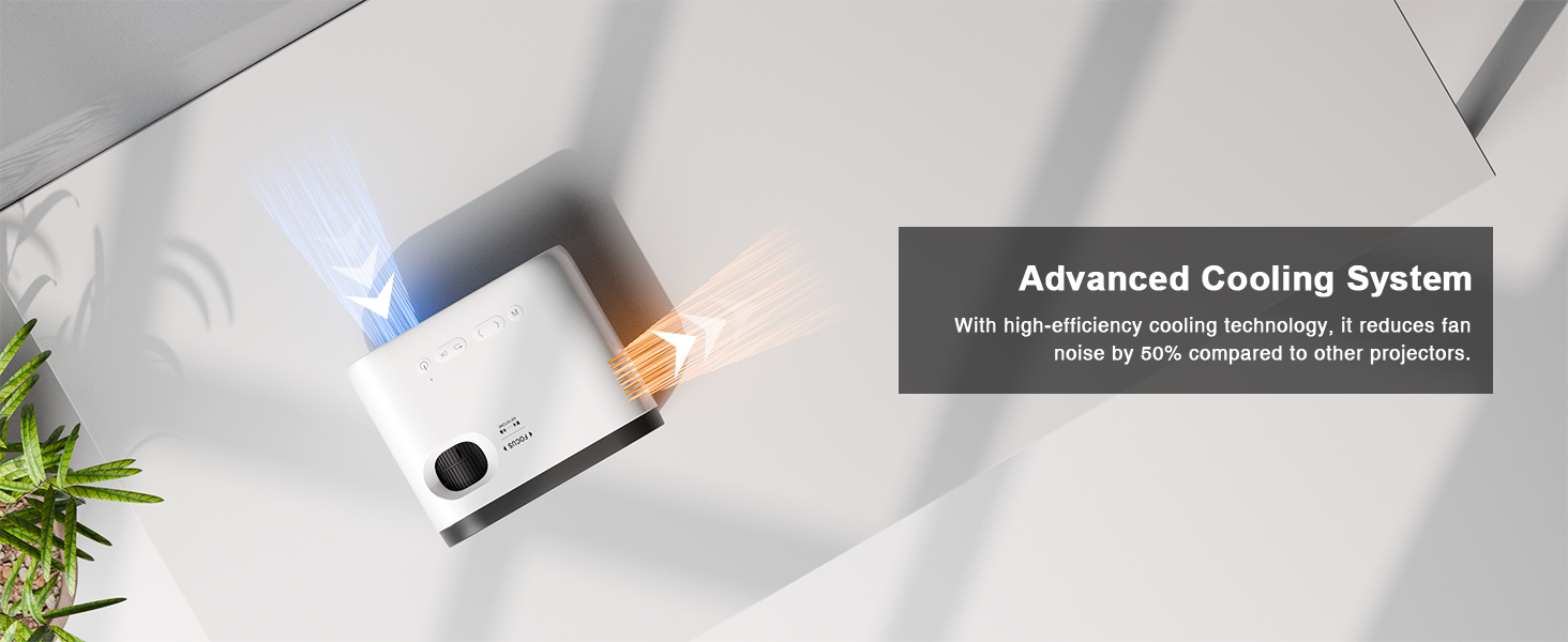 Outdoor Projector