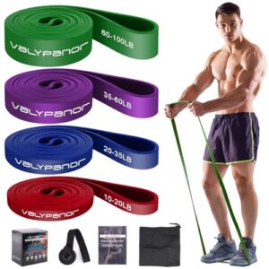 VALYPANOR Resistance Bands 4 Different Levels Fitness Bands Pull Up Resistance Bands for Men and Women Gym Bands for Strength Training Yoga