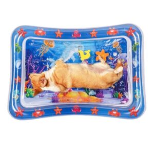 Sensory Water Mat