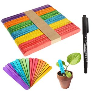 Risunpet 100Pcs Wood Plant Labels with A Marker Pen