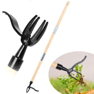 Longzhuo Standing Weeder Tool
