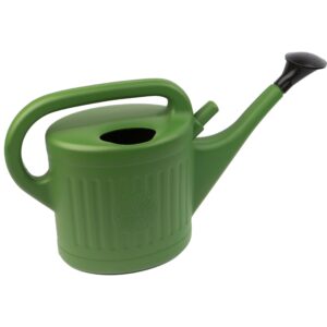 DIVCHI Watering Can With Rose Head Indoor Outdoor Plants Watering Pot With Handle & Removable Sprinkler Head (Green