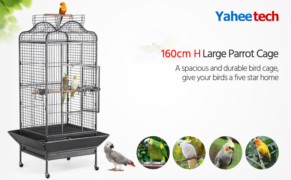 parrot cage