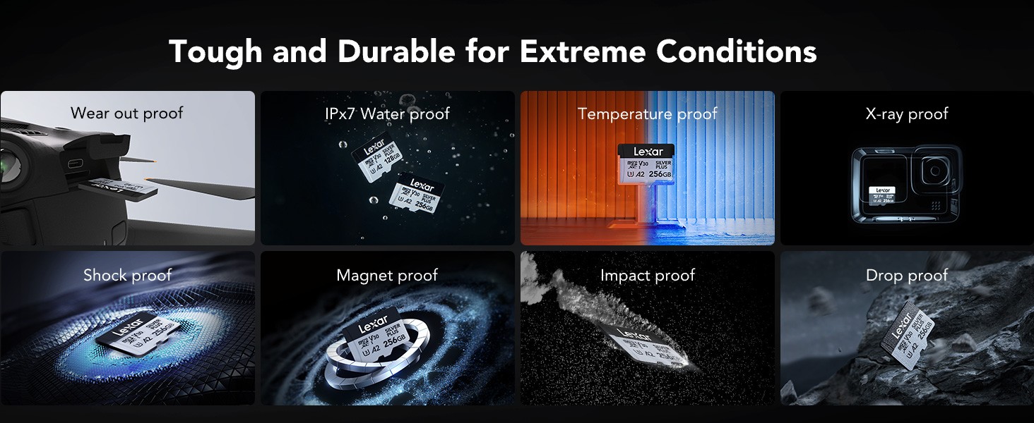 MIcrosd Silver Plus 256GB