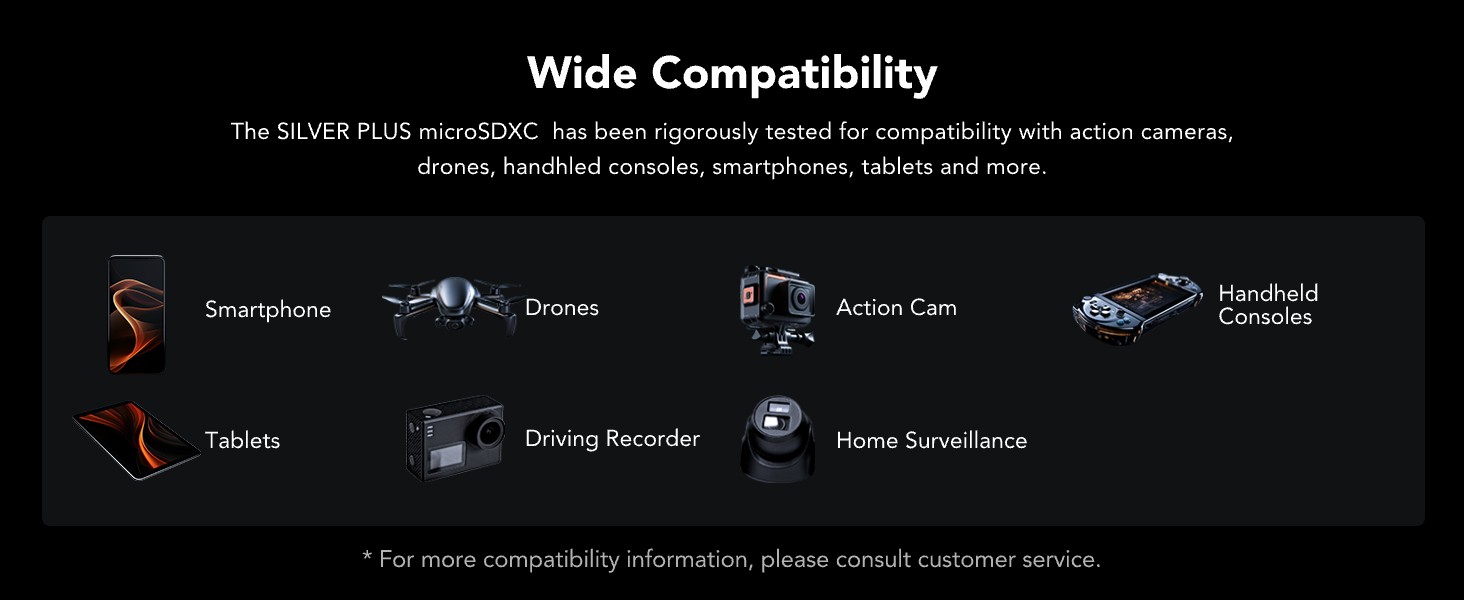 Lexar MIcrosd Silver Plus 128GB