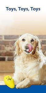 PetSafe, dog and cat products, pet fountain, cat flap, dog door, pet toys, cat fountain, kurgo