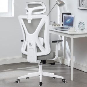 KERDOM Office Desk Chair