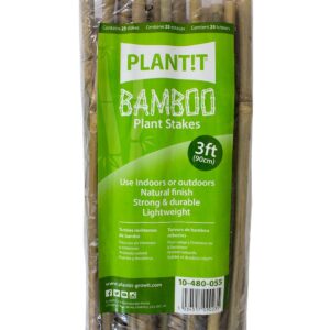 PLANT IT 3FT Bamboo Stakes