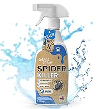 spider killer