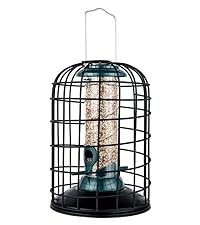 bird feeder