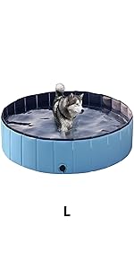 dog pool